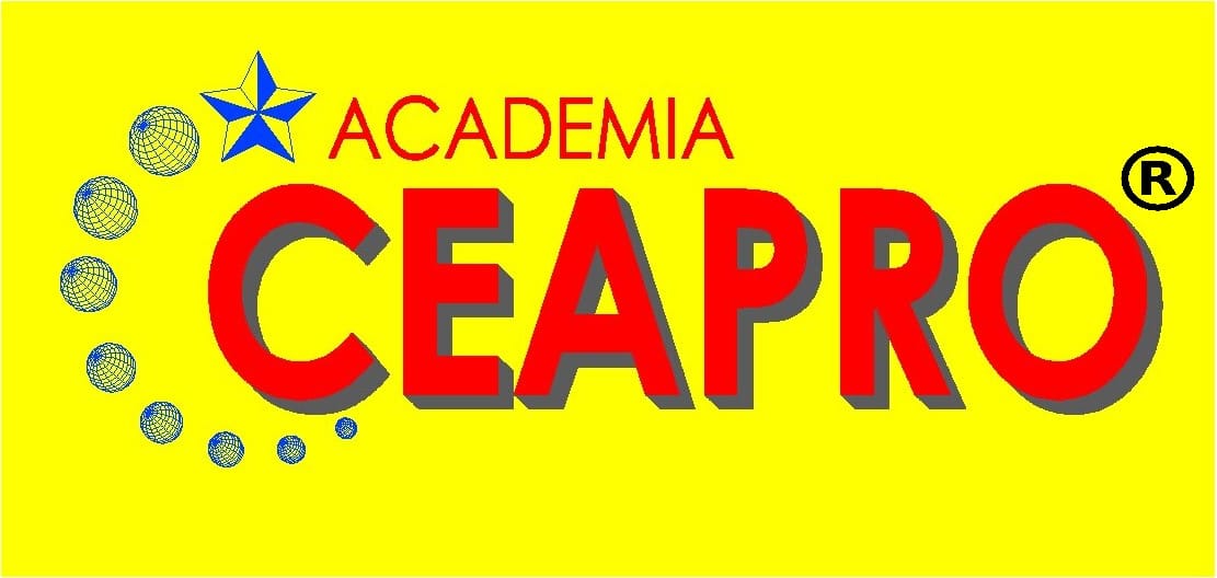 Primer logo de la Academia CEAPRO®