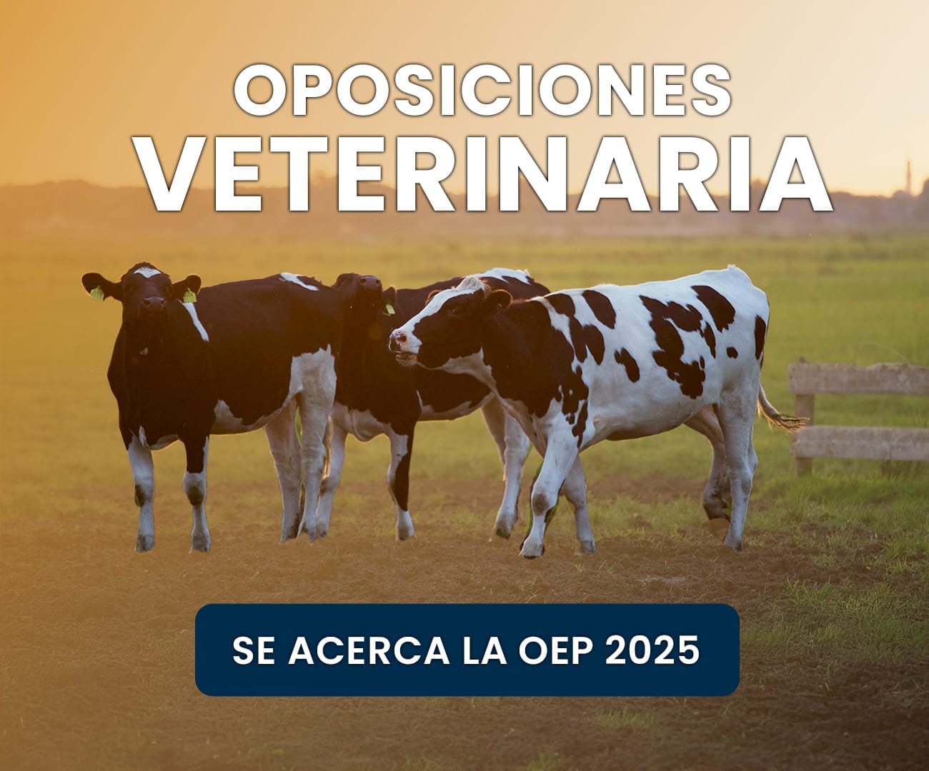 Nuevas posibles plazas y la especialidad de Veterinaria podría ser una gran oportunidad