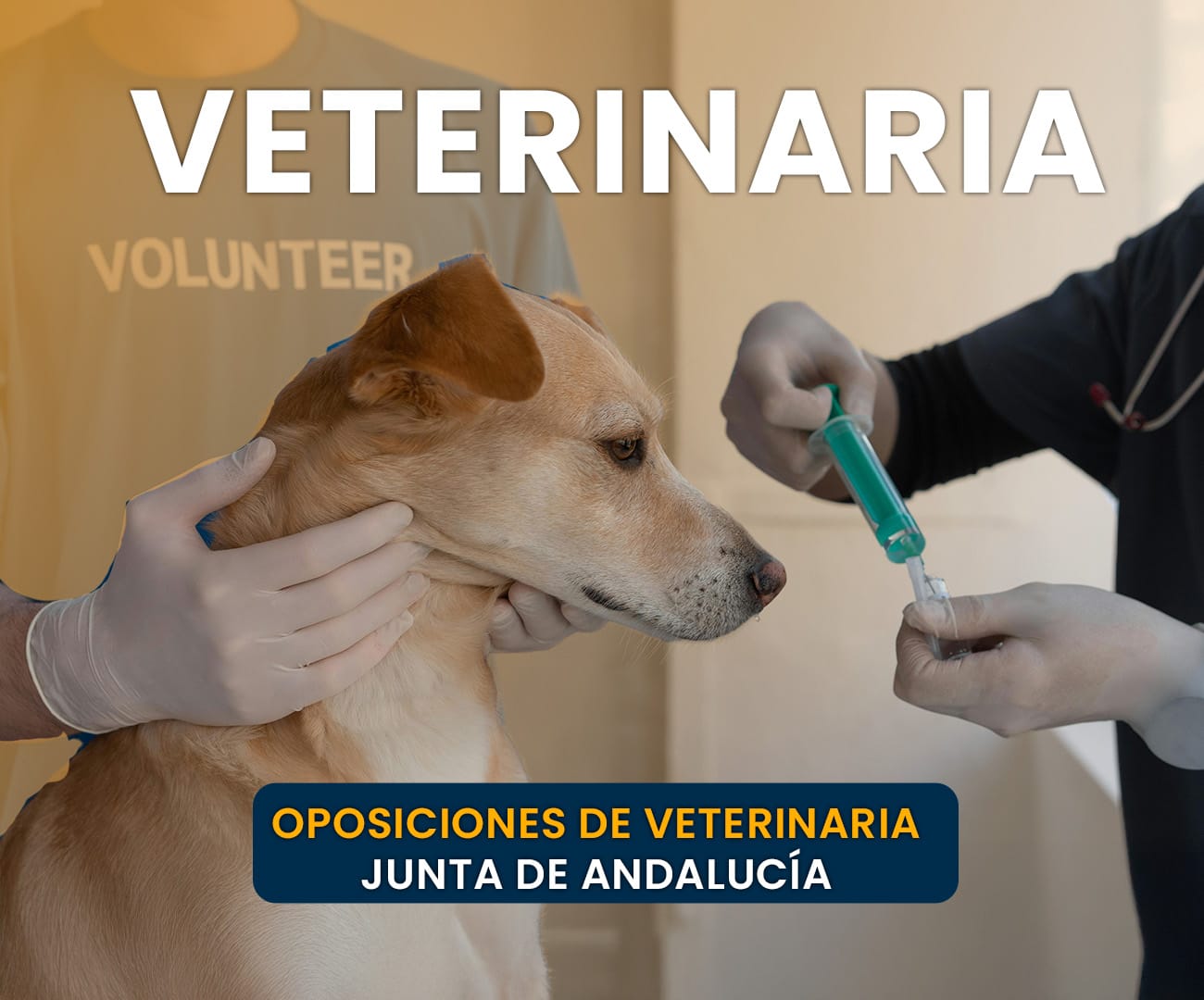 Oposiciones Veterinaria Junta de Andalucía: accede al empleo público como profesional sanitario