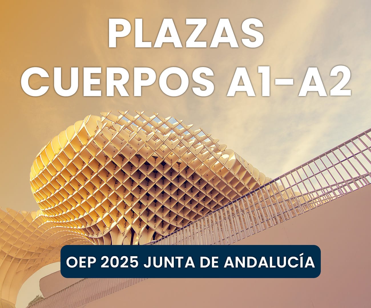OEP Andalucía 2025: plazas clave para Veterinaria, Ciencias Sociales y del Trabajo, Ingeniería Agrícola y Educación Social