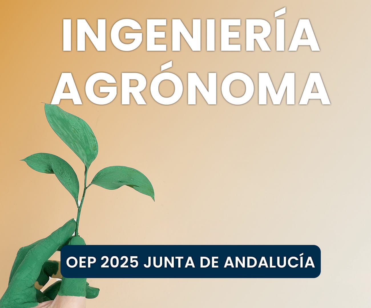 Oposiciones Ingeniería Agrónoma Junta de Andalucía OEP 2025